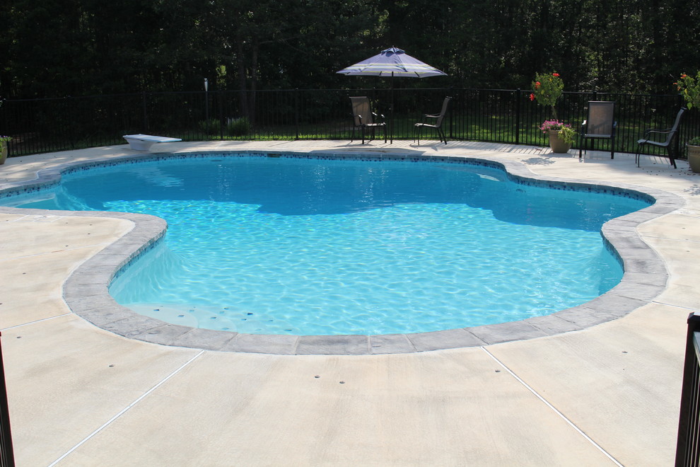 Diseño de piscina natural tradicional grande a medida en patio trasero con losas de hormigón