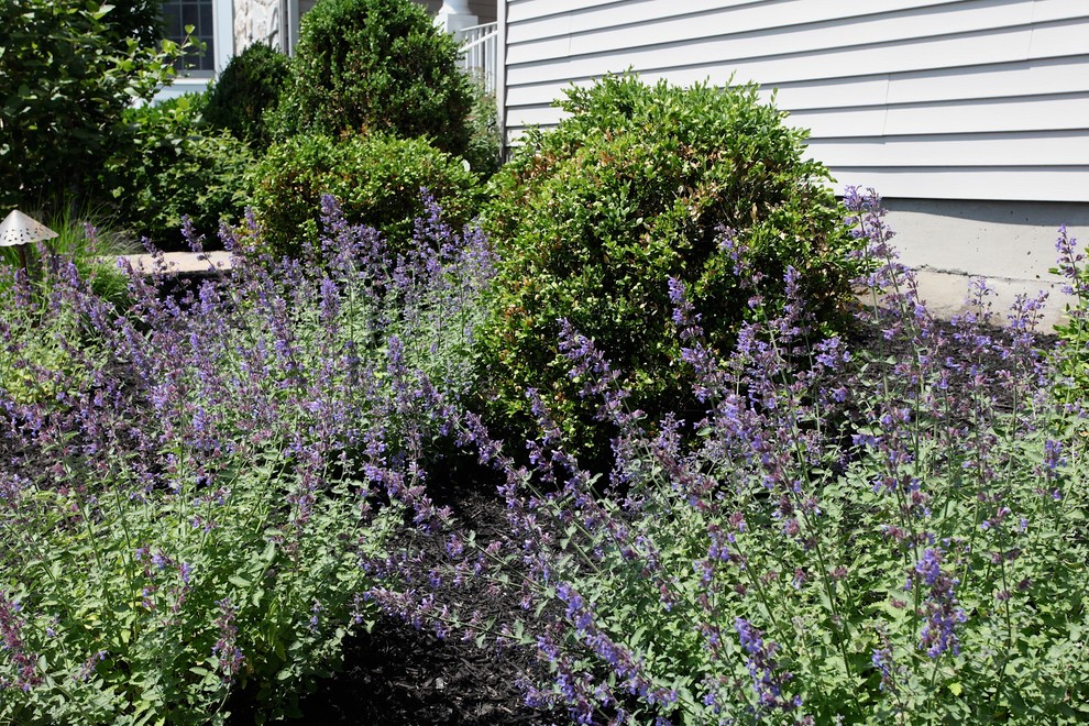 Family Pool Project, Flemington, NJ Traditional Landscape New