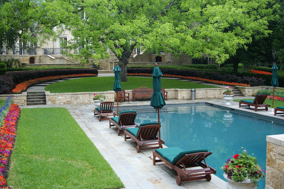Diseño de piscina clásica rectangular en patio trasero