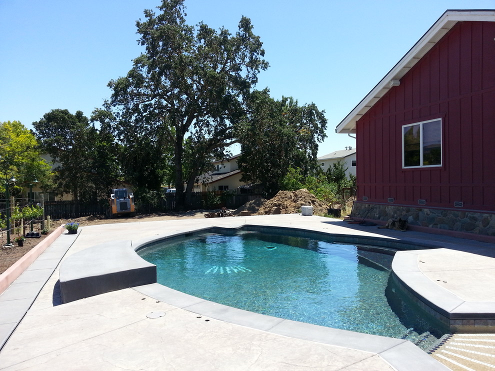 Photo of a farmhouse swimming pool in San Francisco.