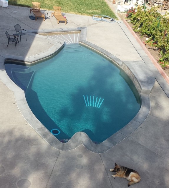 Fish Shaped Swimming Pool - Campagne - Piscine - San Francisco | Houzz