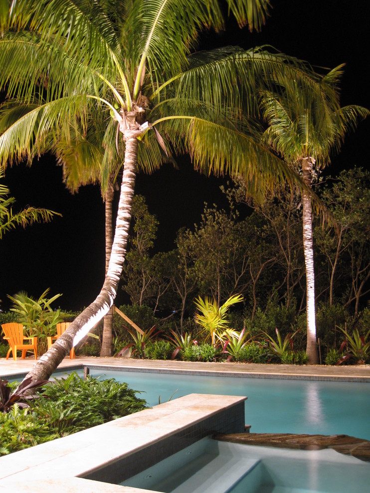 Imagen de piscina tropical rectangular