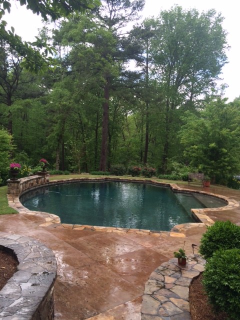 Ejemplo de piscina natural clásica de tamaño medio redondeada en patio trasero con adoquines de piedra natural