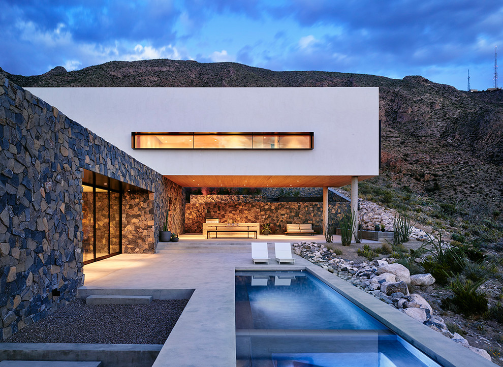 Ispirazione per una piscina moderna rettangolare nel cortile laterale con lastre di cemento
