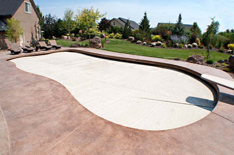 Foto de piscina moderna de tamaño medio a medida en patio trasero con losas de hormigón