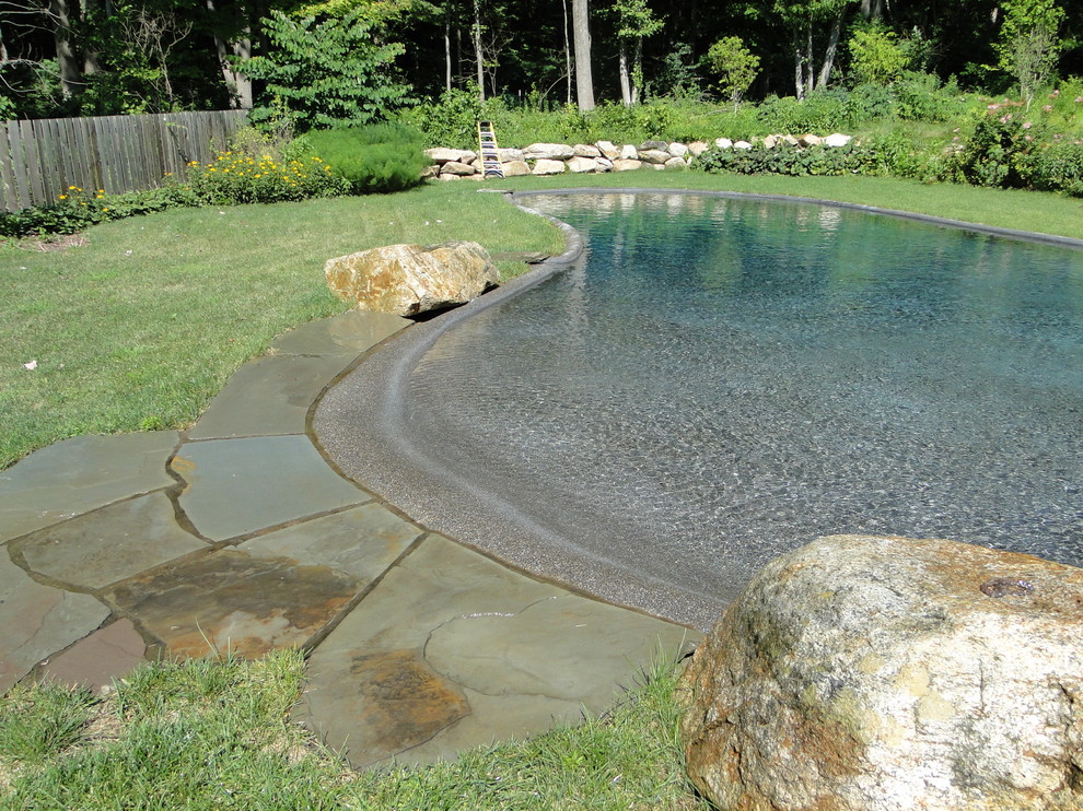 Свежая идея для дизайна: большой естественный бассейн произвольной формы на заднем дворе в классическом стиле с покрытием из каменной брусчатки - отличное фото интерьера
