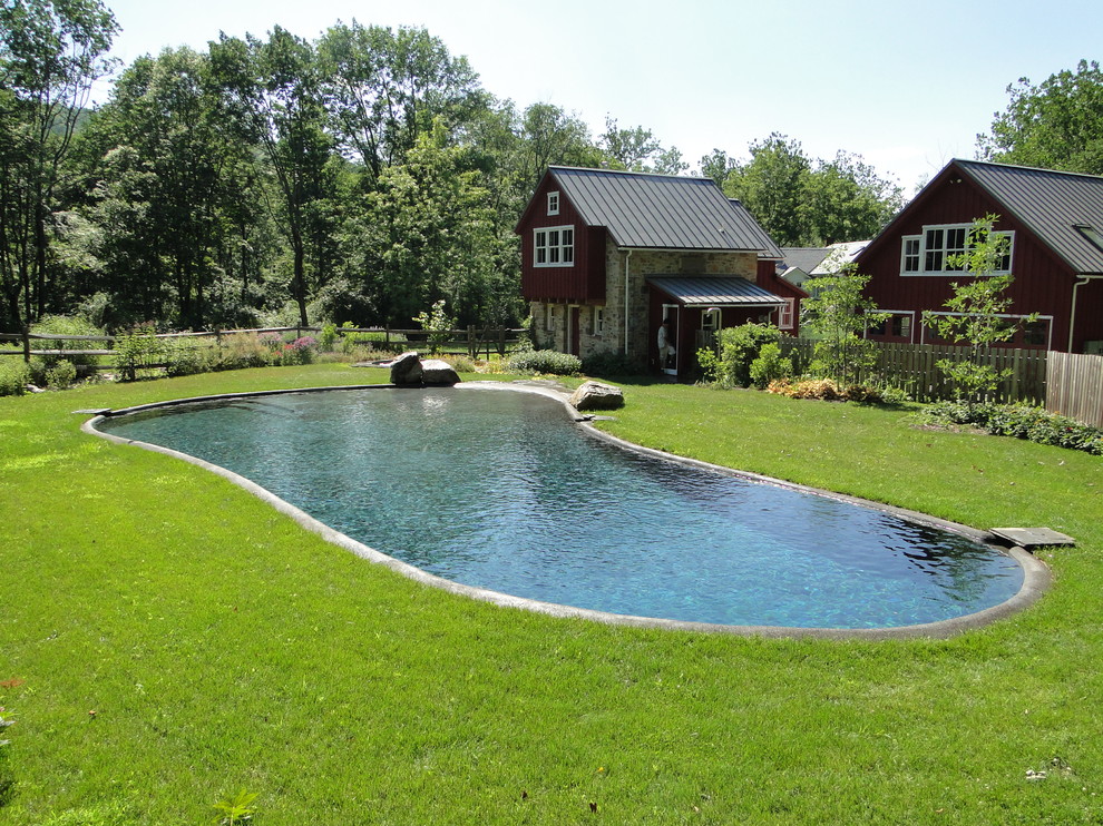 Example of a large classic backyard stone and custom-shaped natural pool design in Philadelphia