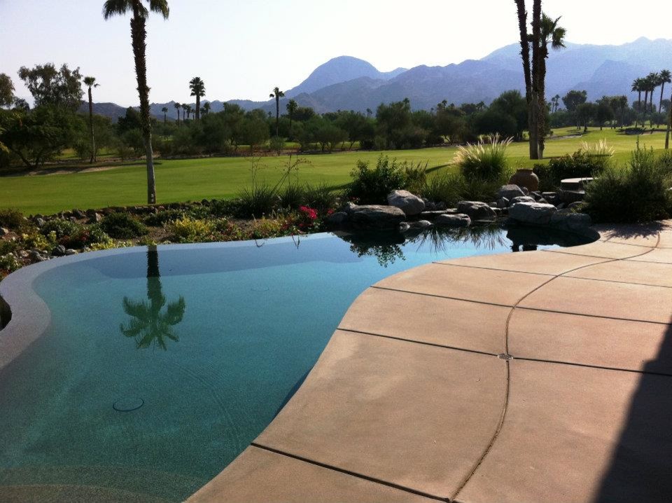 Imagen de piscinas y jacuzzis naturales contemporáneos de tamaño medio a medida en patio trasero con adoquines de hormigón