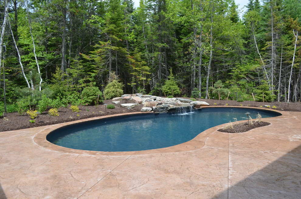 Modelo de piscina natural rústica grande en patio trasero con suelo de hormigón estampado