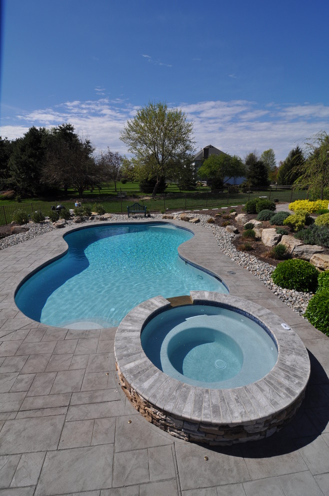 Freeform Salt Water Pool with Raised Spa - Traditional - Pool ...