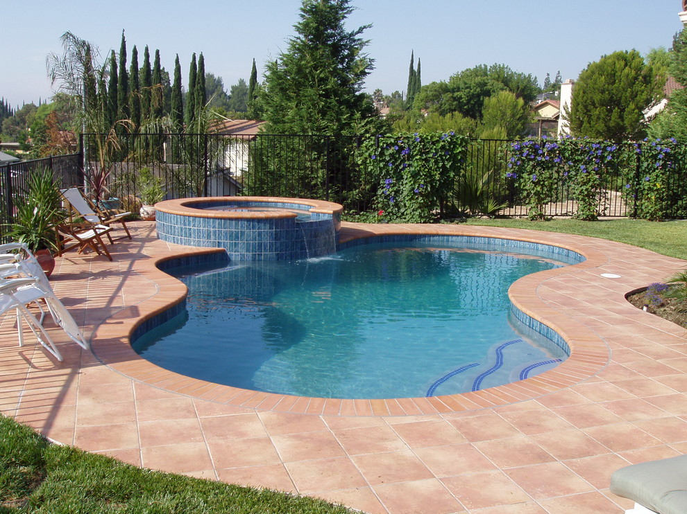 Freeform style pools Traditional Pool Los Angeles by Symphony