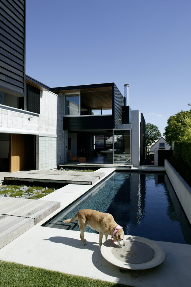 Стильный дизайн: спортивный, прямоугольный бассейн на заднем дворе в современном стиле с покрытием из бетонных плит - последний тренд