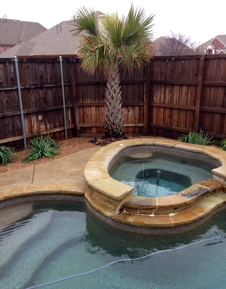 Frisco Landscaping Tropical Pool Dallas by Absolutely Bushed