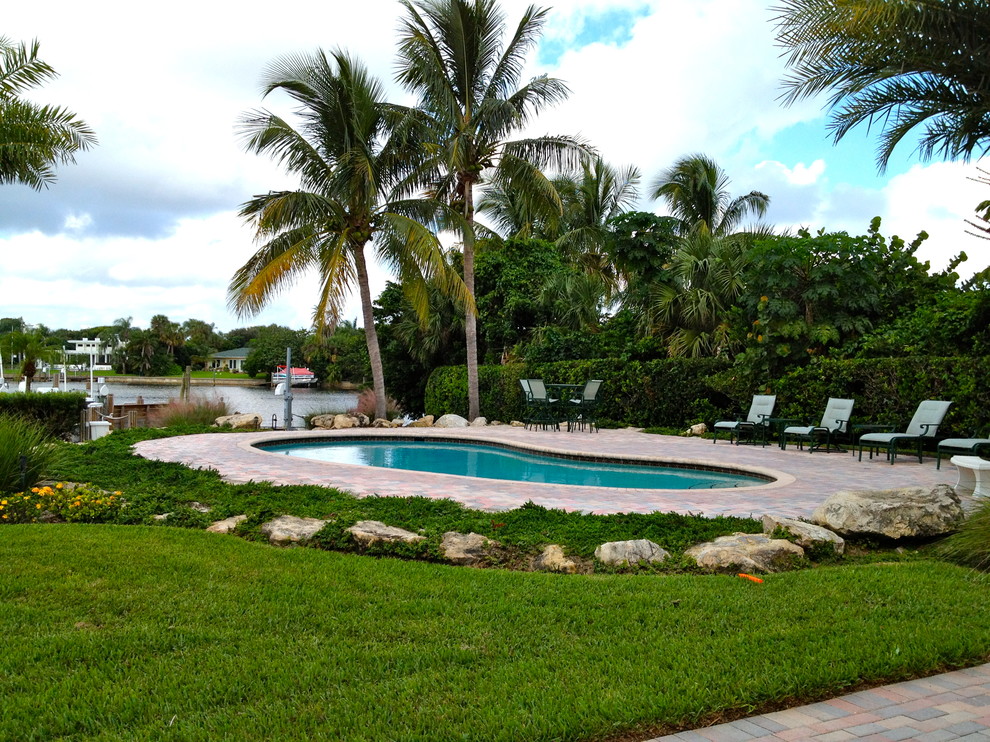 Diseño de piscina alargada clásica de tamaño medio tipo riñón en patio trasero