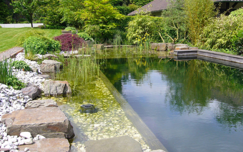 Стильный дизайн: естественный бассейн среднего размера, произвольной формы на боковом дворе в современном стиле - последний тренд