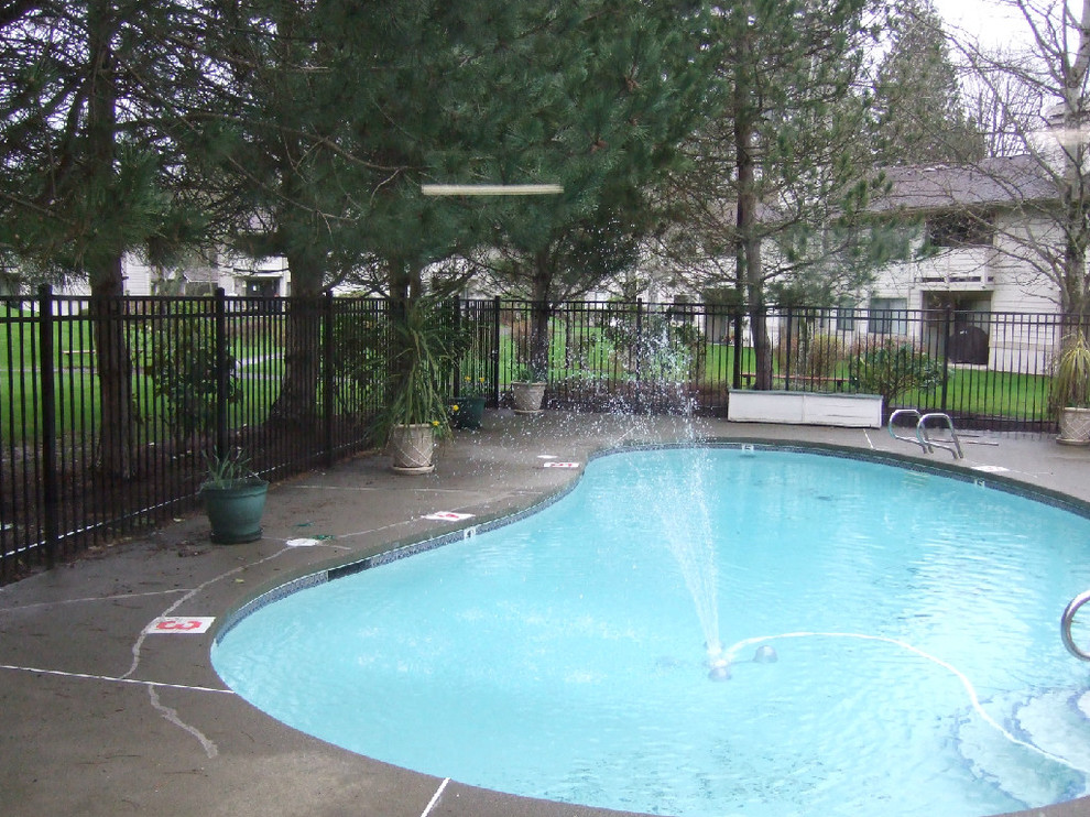 This is an example of a traditional back custom shaped swimming pool in Seattle.