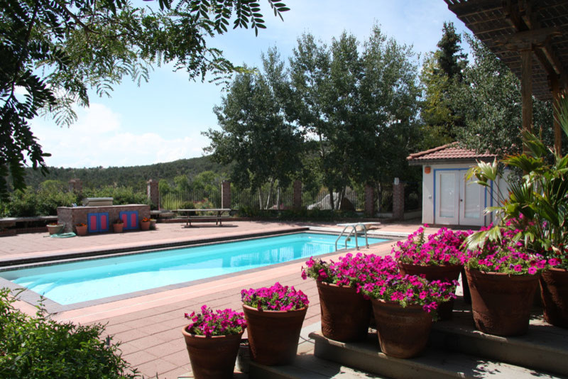 Imagen de casa de la piscina y piscina alargada de estilo de casa de campo grande rectangular en patio trasero