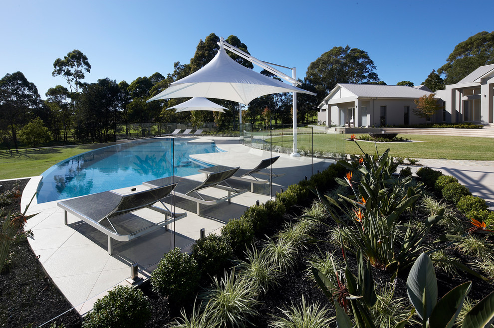This is an example of a contemporary swimming pool in Sydney.