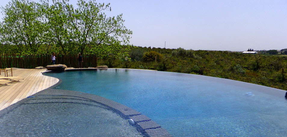Gan Sorek Contemporary Pool Tel Aviv by keynanganim Houzz