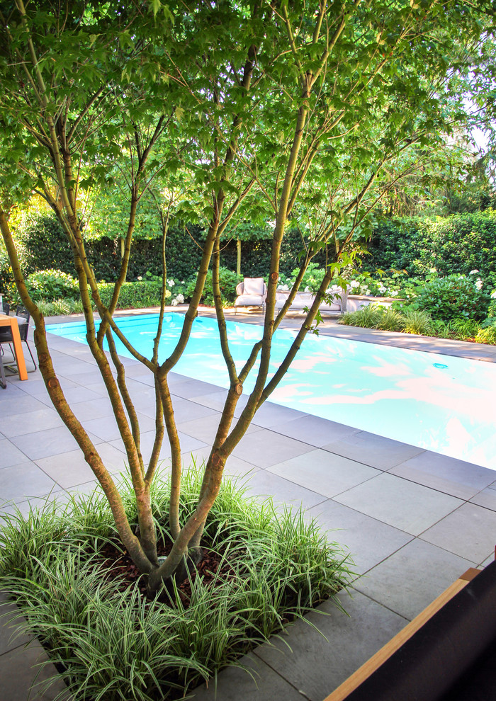 Foto di una piscina design rettangolare di medie dimensioni e dietro casa con lastre di cemento