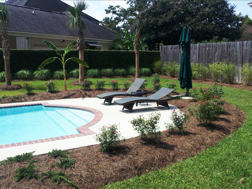 Foto de piscina alargada tropical de tamaño medio a medida en patio trasero con losas de hormigón
