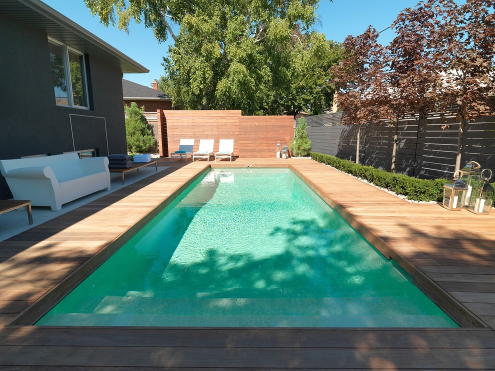 Imagen de piscina alargada contemporánea pequeña rectangular en patio trasero con losas de hormigón