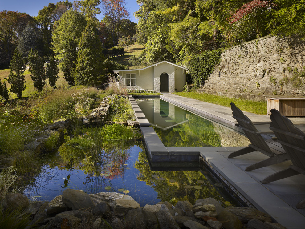 Источник вдохновения для домашнего уюта: естественный бассейн в классическом стиле