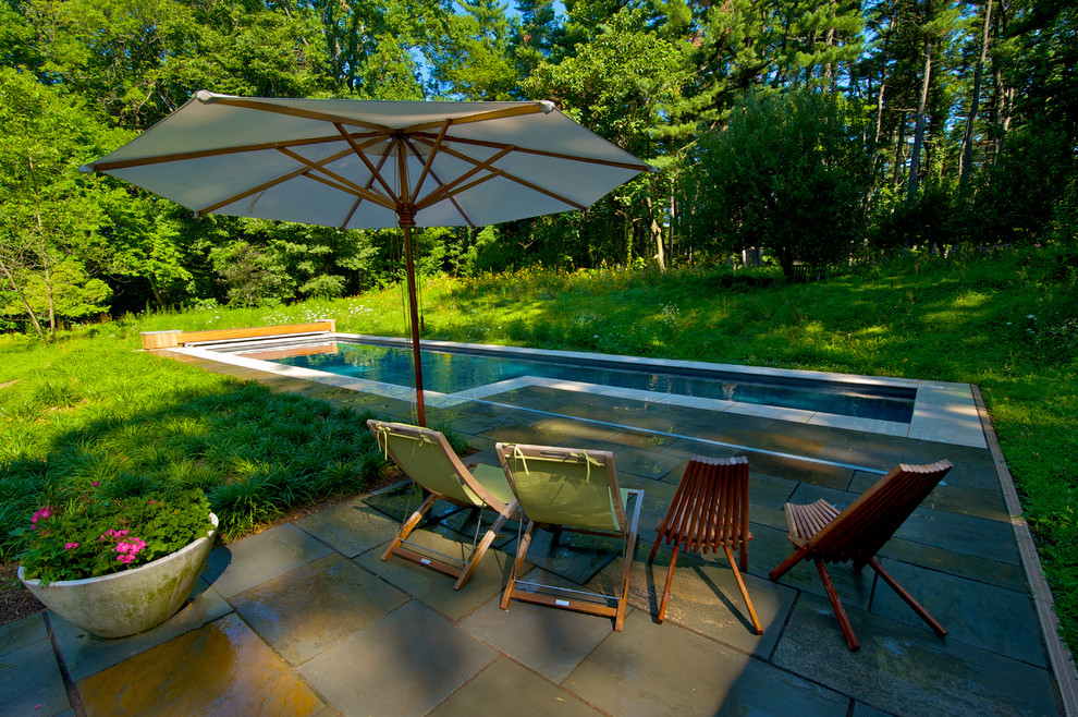Example of a mid-sized trendy backyard stone and rectangular lap pool design in Philadelphia