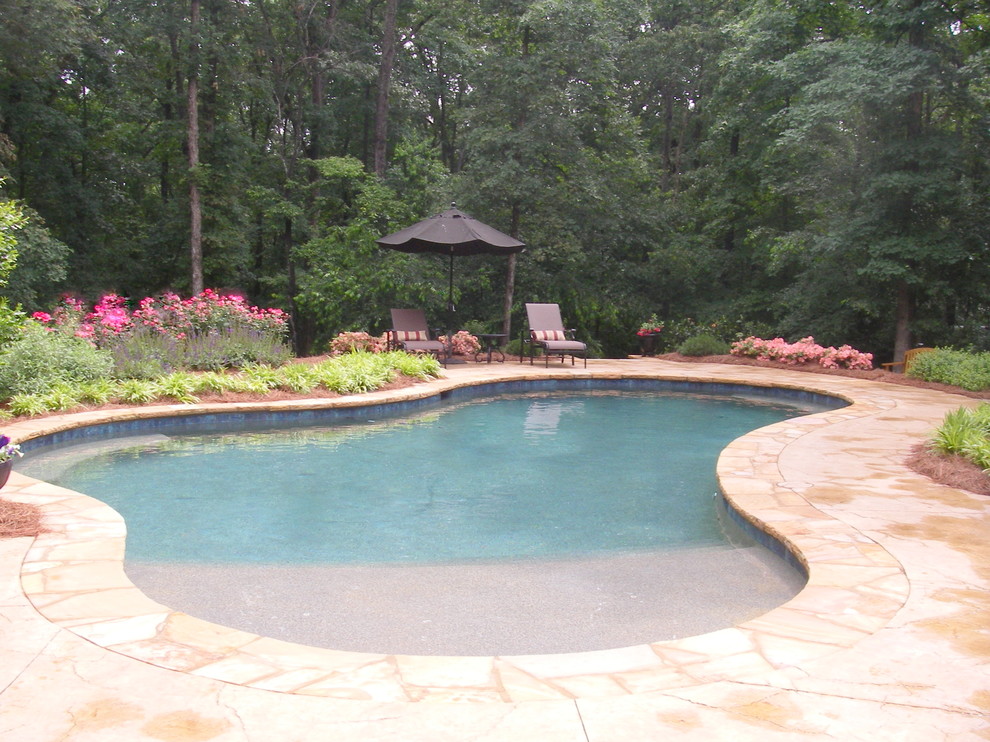Diseño de piscina natural clásica grande tipo riñón en patio trasero con adoquines de piedra natural