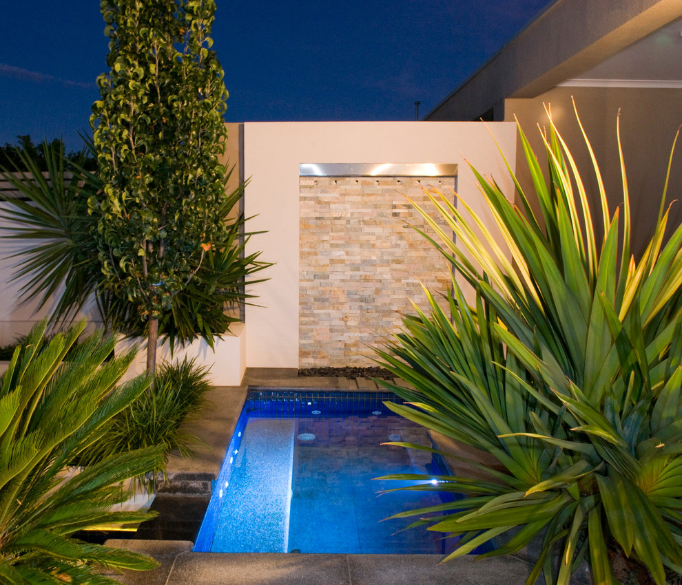 Glenelg East Contemporary Pool Adelaide by Adelaide Garden