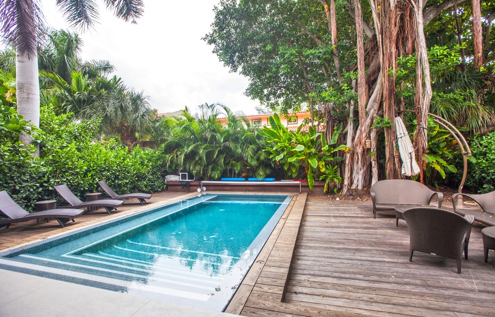 Foto de piscina natural actual de tamaño medio rectangular en patio trasero con entablado