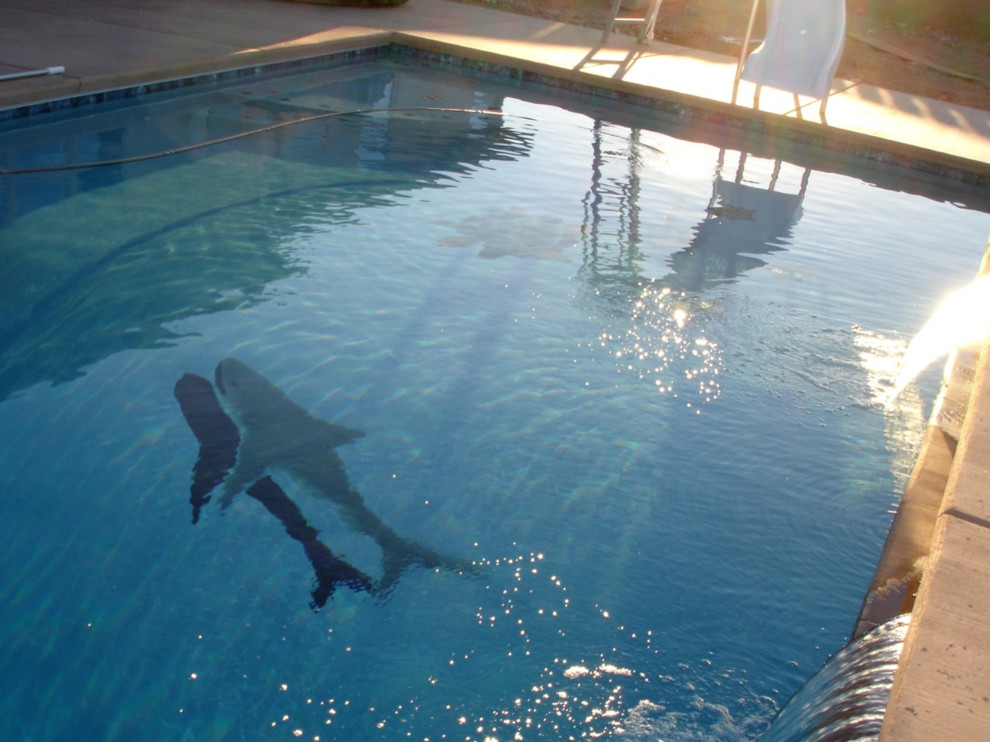 Foto di una grande piscina monocorsia minimal rettangolare dietro casa con un acquascivolo e lastre di cemento