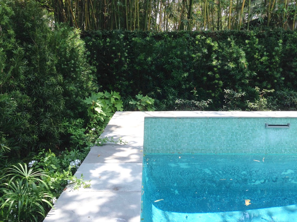 Diseño de piscina clásica renovada grande rectangular en patio trasero con losas de hormigón