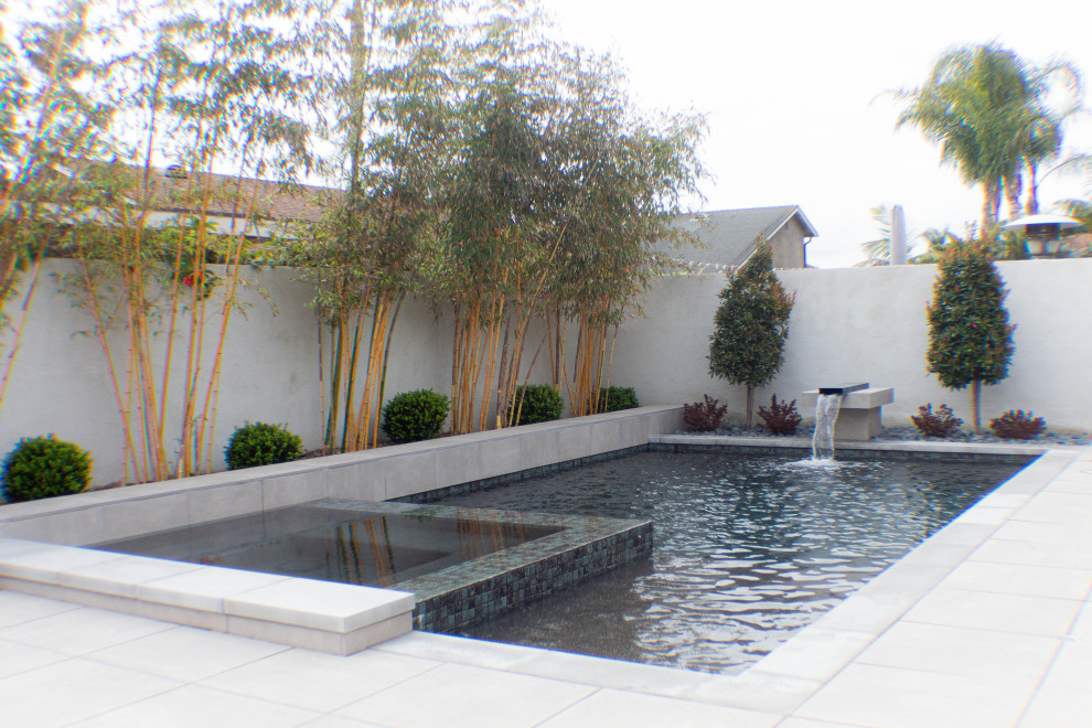 Foto di una piscina naturale design rettangolare di medie dimensioni e dietro casa con una vasca idromassaggio e pavimentazioni in cemento