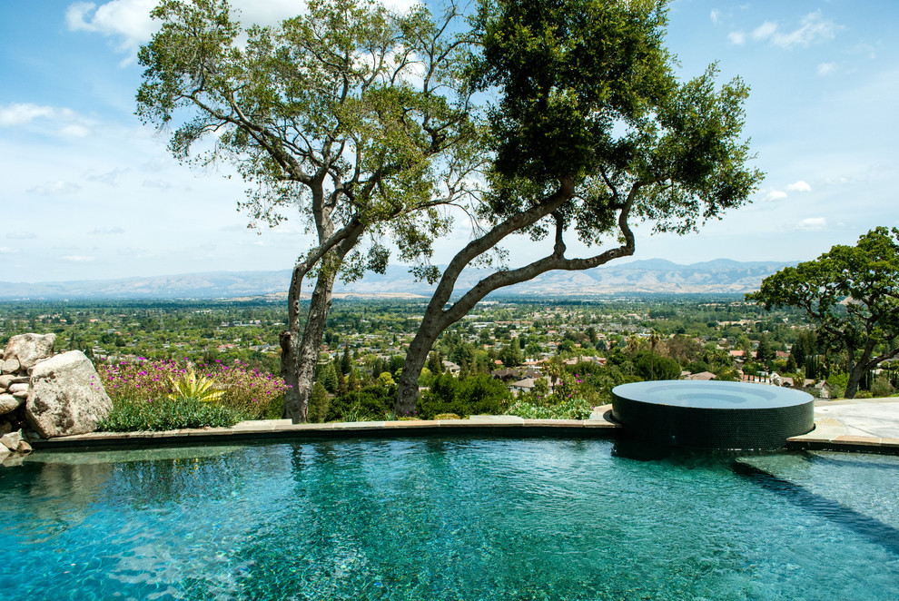 Harwood Court Contemporary Pool San Francisco by Bergez & Associates Design Studio Houzz