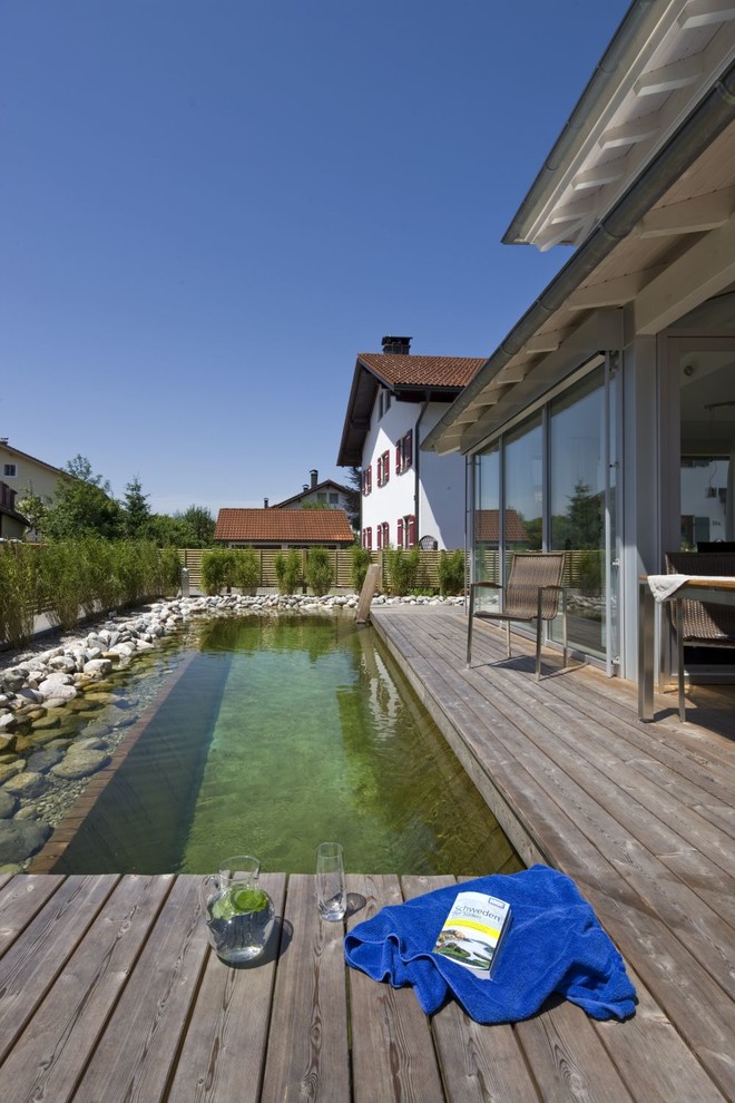 Diseño de piscina natural rústica rectangular en patio trasero con entablado