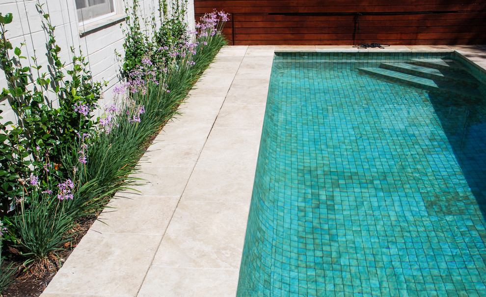 Ejemplo de piscina actual de tamaño medio rectangular en patio trasero con paisajismo de piscina y adoquines de piedra natural