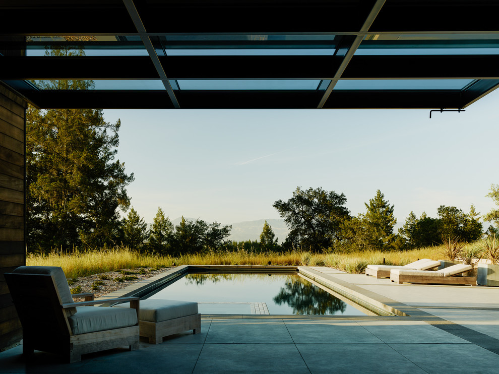 Esempio di una piscina minimal rettangolare di medie dimensioni con fontane e lastre di cemento