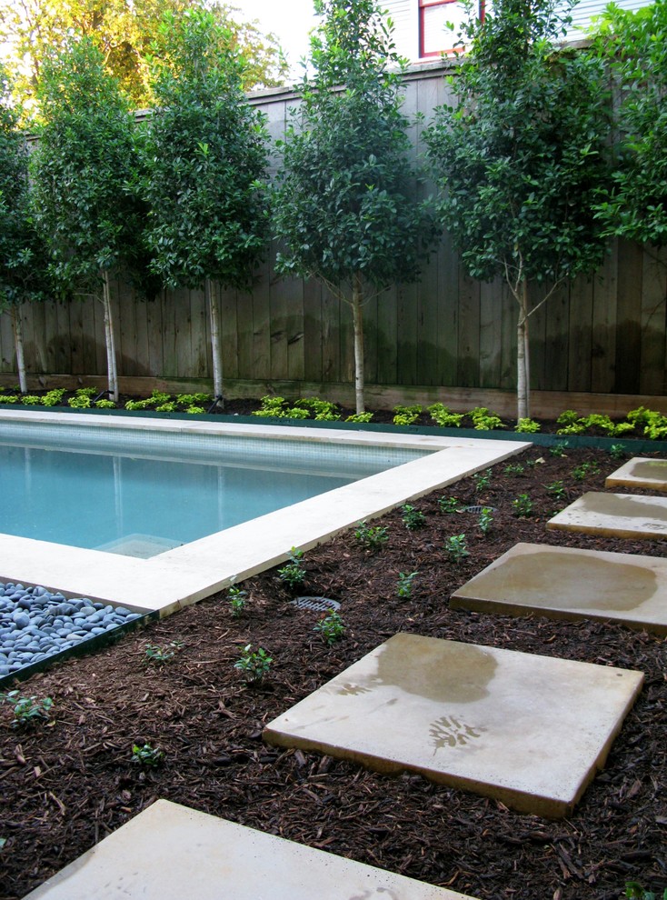Design ideas for a modern swimming pool in Houston.