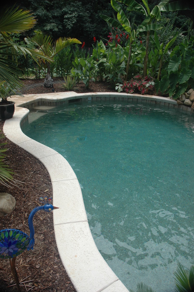 Hidden Slide And Tropical Pool Tropical Pool Atlanta By Hilltop Pools And Spas Inc