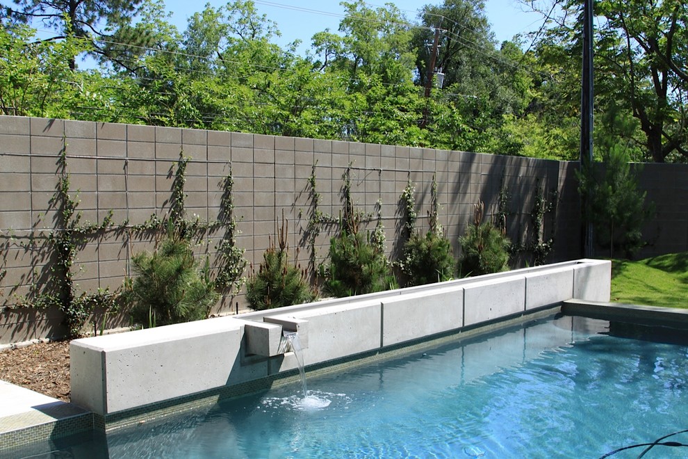 Immagine di una piscina design rettangolare dietro casa