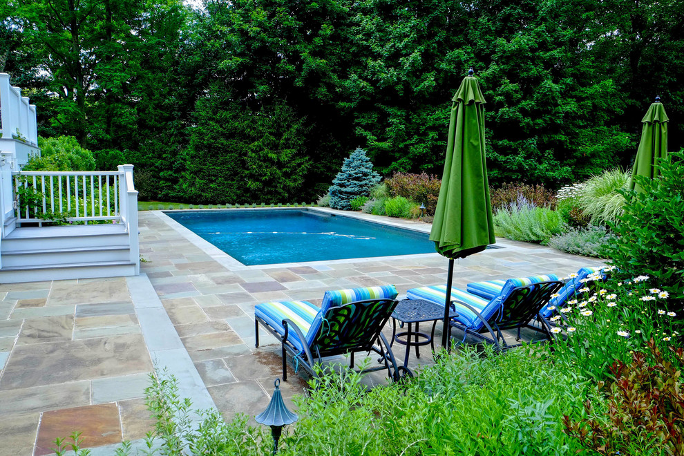 Idée de décoration pour une piscine naturelle et avant design de taille moyenne et rectangle avec un point d'eau et des pavés en béton.