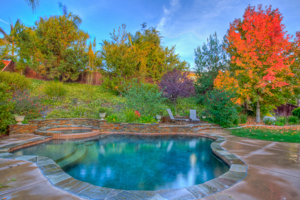 Hillside Pool Carlsbad Traditional Pool San Diego by Del