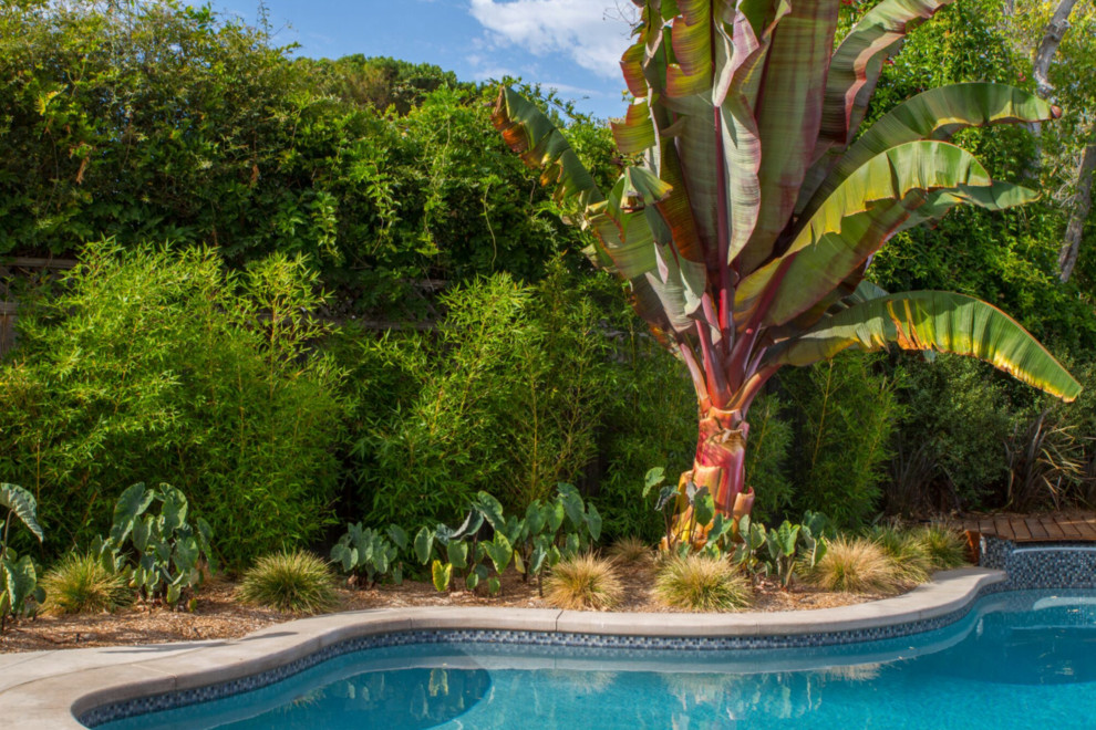 Idéer för stora tropiska anpassad pooler på baksidan av huset, med naturstensplattor