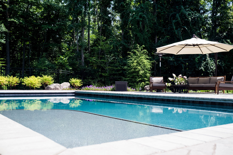 Holland Residence Traditional Swimming Pool & Hot Tub Grand