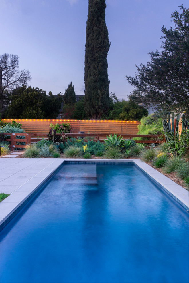 Foto di una piscina naturale minimalista rettangolare di medie dimensioni e dietro casa con pavimentazioni in cemento