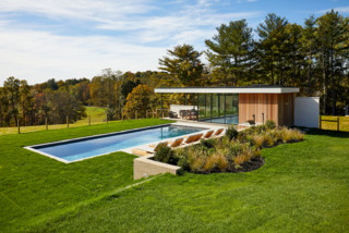 75 Mid-Century Modern Pool House Ideas You'll Love - March, 2024