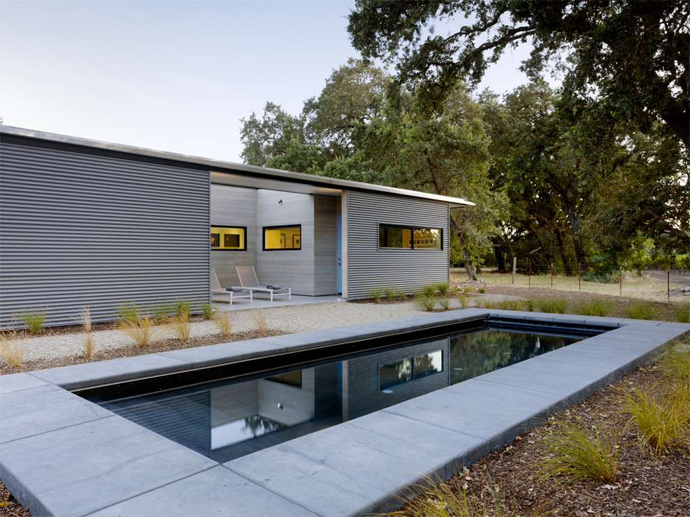 Foto di una piccola piscina monocorsia minimalista rettangolare davanti casa con lastre di cemento e fontane