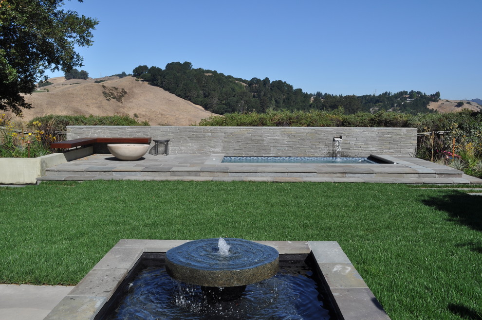 Example of a minimalist rectangular pool design in San Francisco