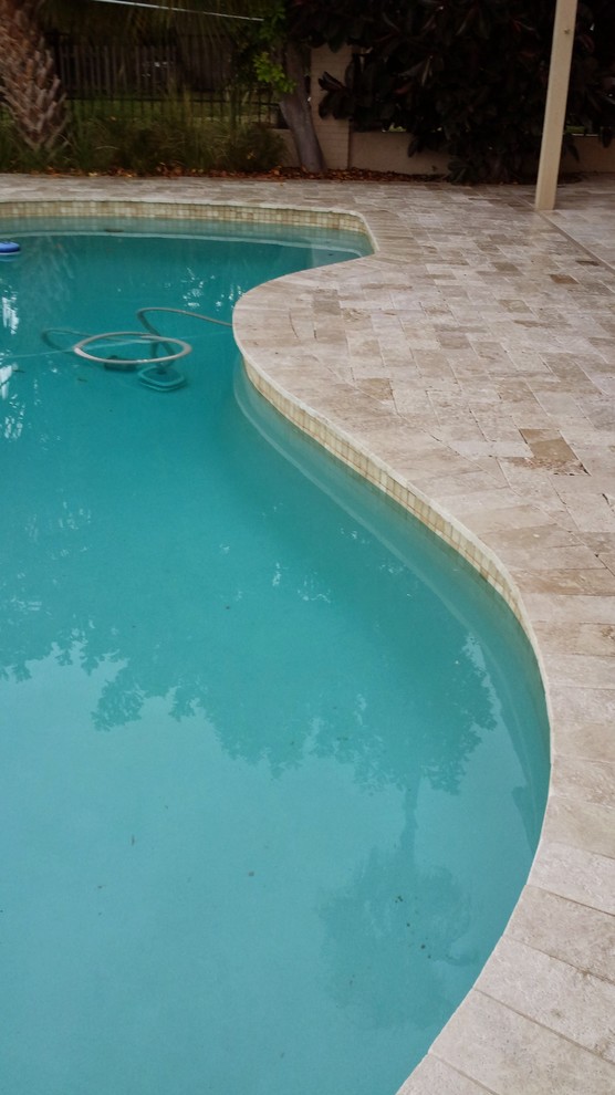 This is an example of a coastal swimming pool in Tampa.